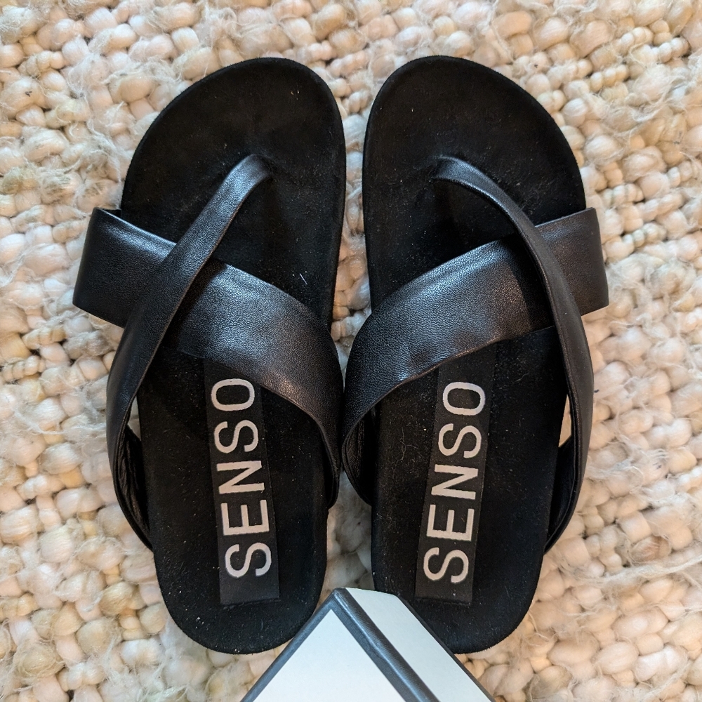 Senso dina slides